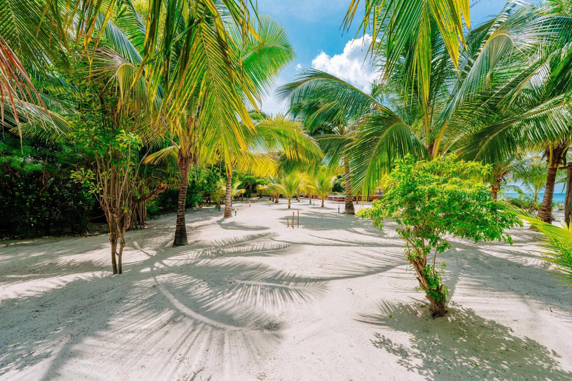 Ifa Beach Resort Jambiani  Extérieur photo